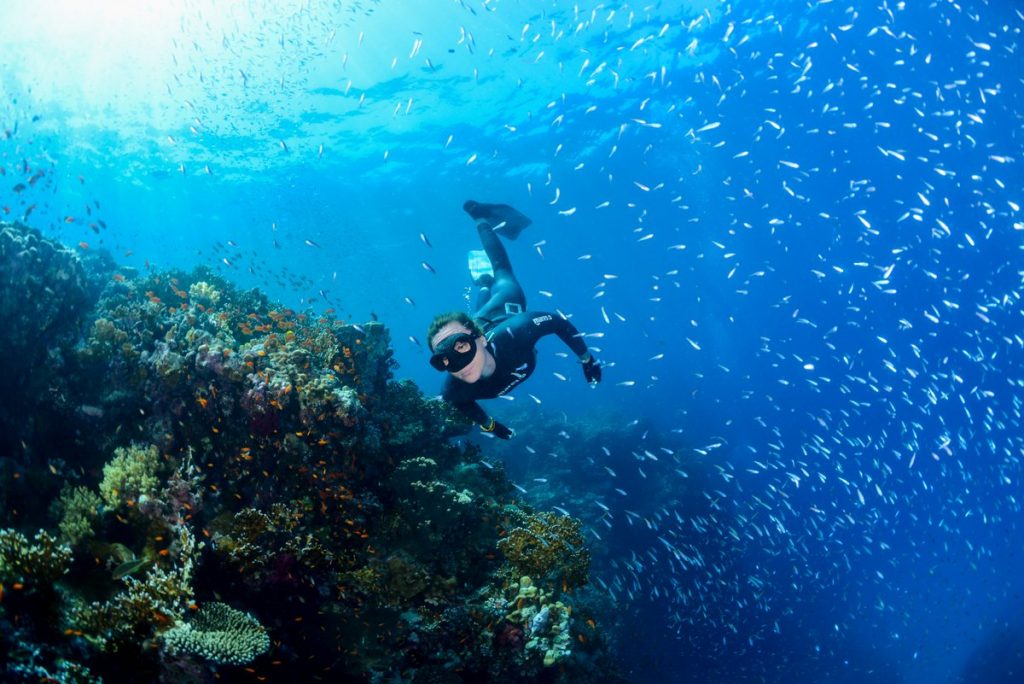 Freediving, Aktivitas Menyelam Sejak Jaman Kuno