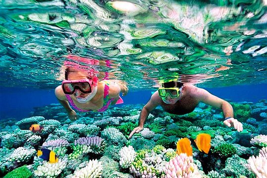 Snorkeling : Menjelajahi Keindahan Bawah Laut