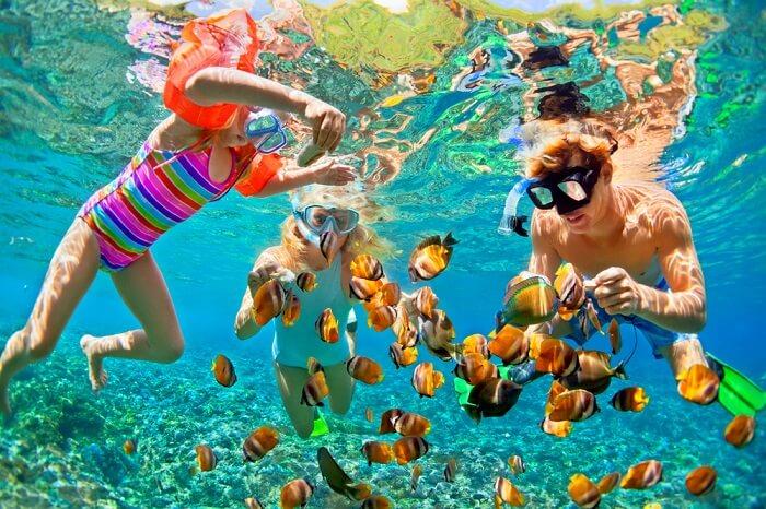 Snorkeling : Menjelajahi Keindahan Bawah Laut